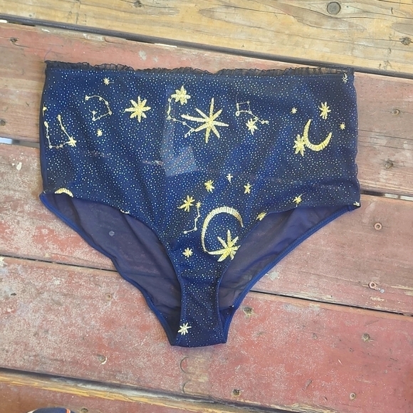 Anthropologie Other - Anthropology Blue Gold Embrodered Constilation Panty New Highwaist